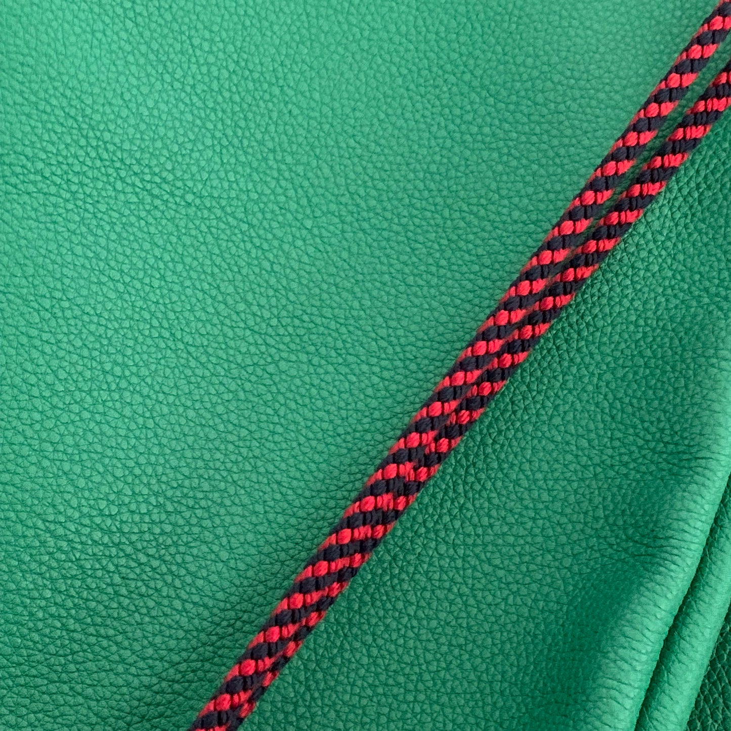 Brand New Gucci Print Drawstring Backpack